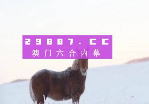 澳门一肖一码一必中一肖同舟前进——探寻命运之码的奥秘