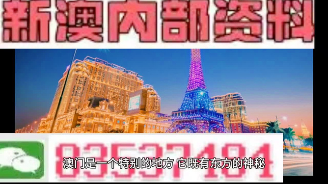 澳门最精准正精准龙门2024，探索预测的魅力与未来展望