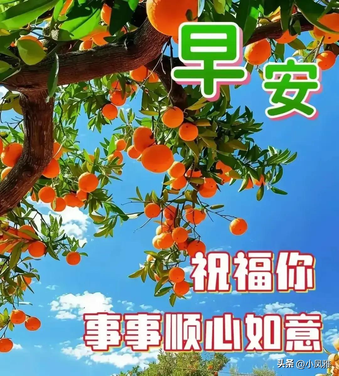 关于天天彩资料大全的免费获取与探索（2024版）