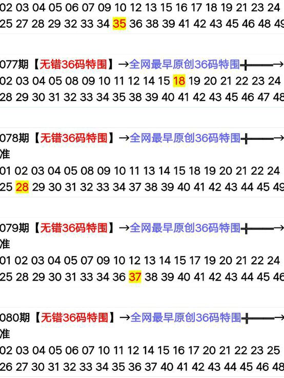 揭秘2024年新版49码表图，特点、应用与未来展望