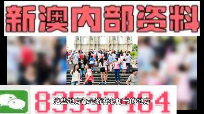 关于新澳精准资料免费提供的探讨与警示——警惕背后的违法犯罪风险