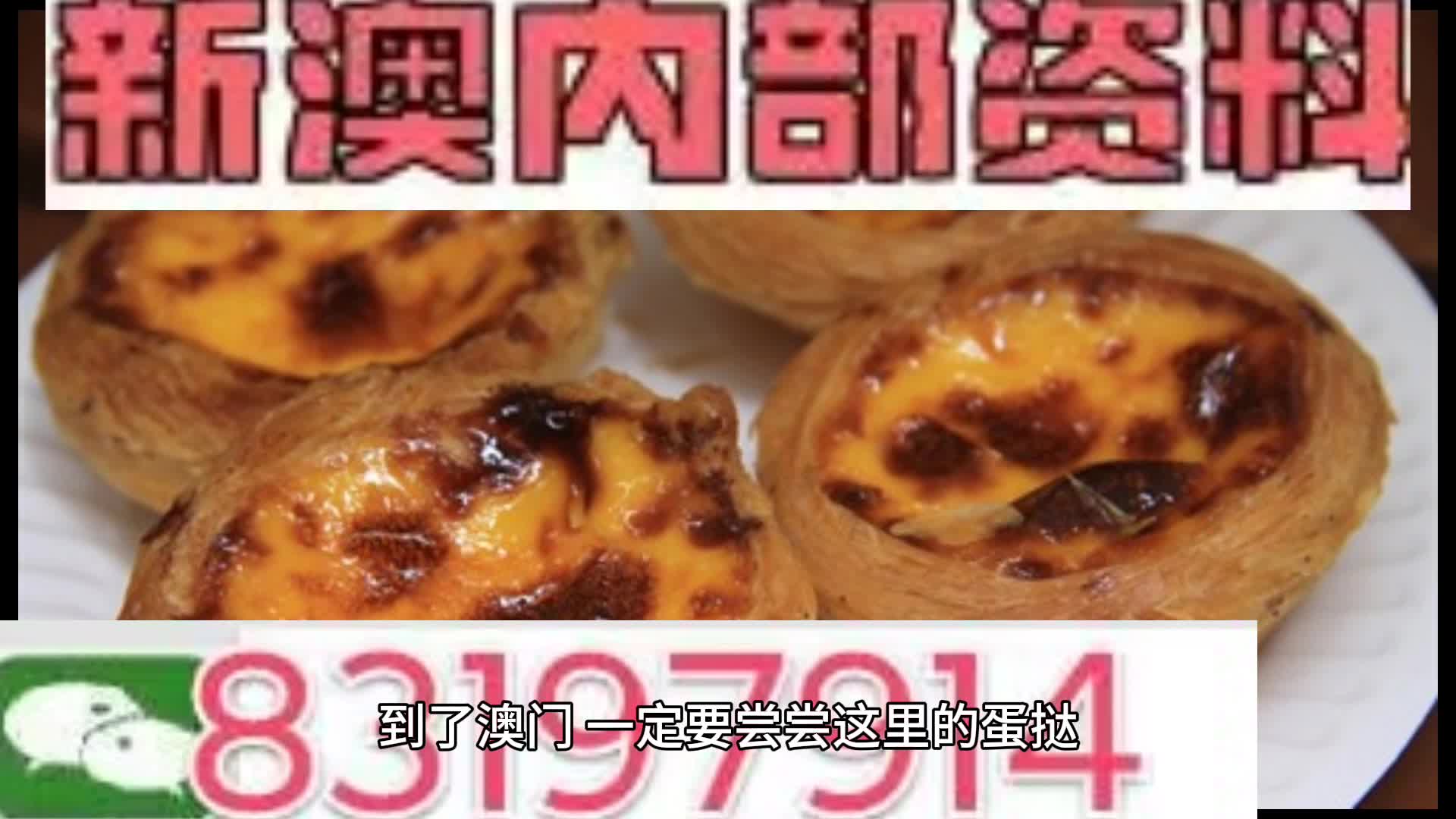 澳门新奥牌资料大全（2024版）——探索澳门新奥牌的世界