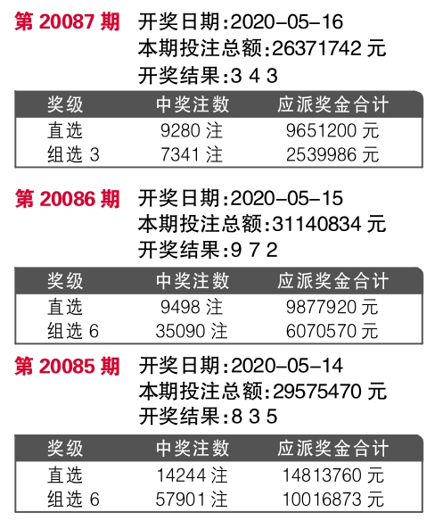 探索王中王开奖十记录网，一场数字游戏之旅