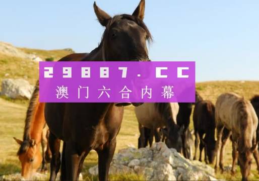 警惕网络陷阱，远离非法赌博——关于777888.com新澳门管家婆资源的探讨