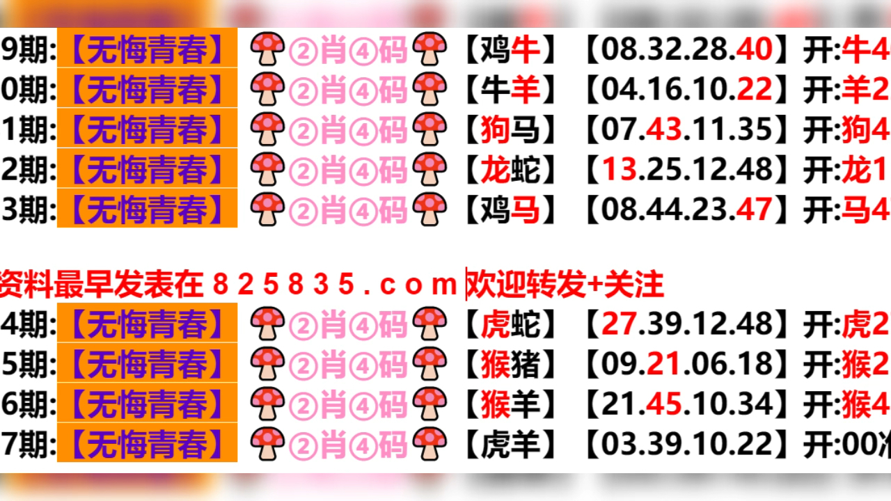 新澳门天天开好彩背后的探索与挑战——五伏之迷与犯罪问题探讨