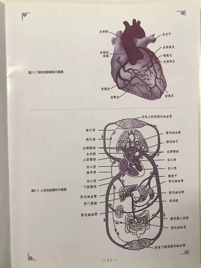 探索与发现，600图库大全的免费资料图库世界