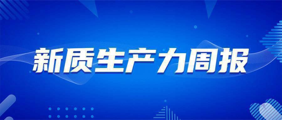 2024年12月10日 第11页