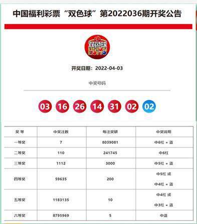 新奥今天开奖结果查询——揭秘彩票背后的故事