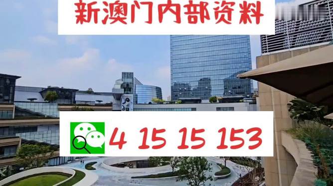 2024年12月11日 第33页