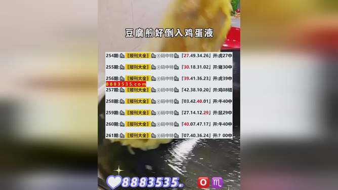 探索新澳历史开奖记录——香港的独特视角与体验