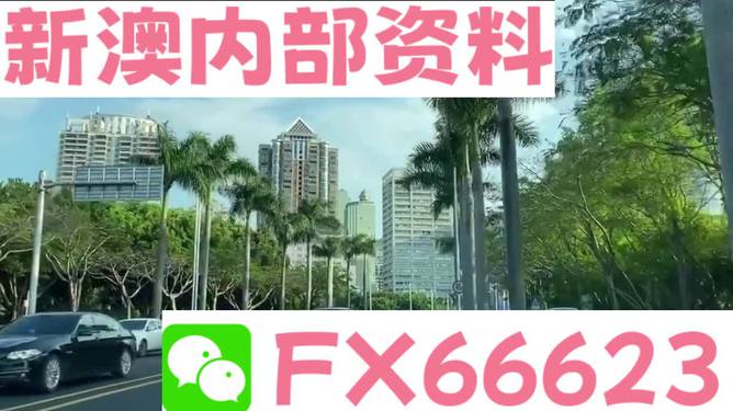 新澳精准资料免费提供，探索第221期的奥秘与价值