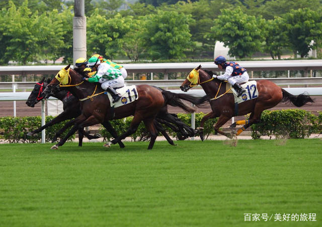 关于看香港正版精准特马资料的违法犯罪问题探讨