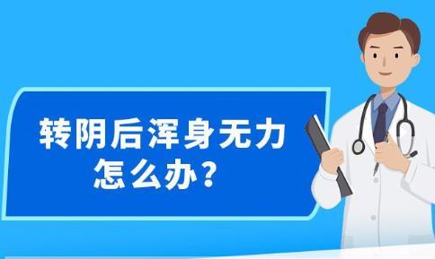 探索新澳精准资料提供的免费网站资源