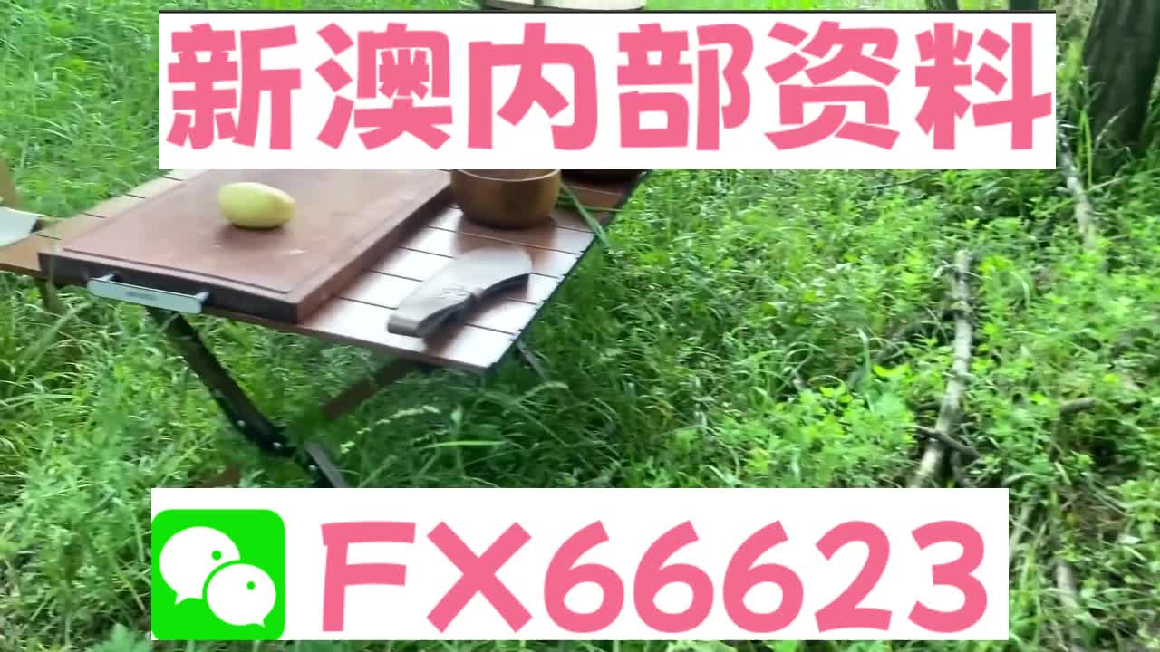 新澳精准资料大全，探索与应用的重要性