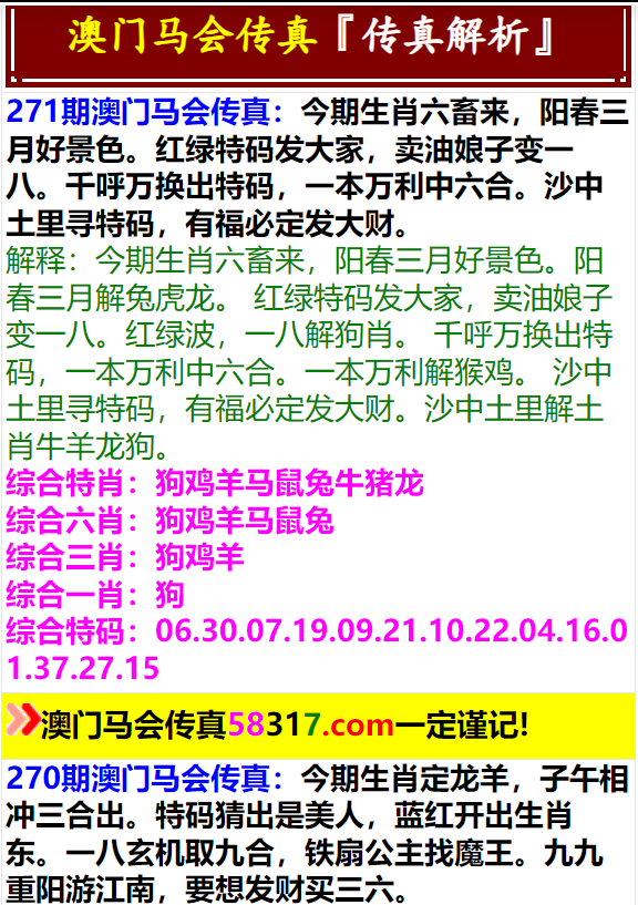 澳门天天开马结果出来第318期，探索与解读彩票背后的故事