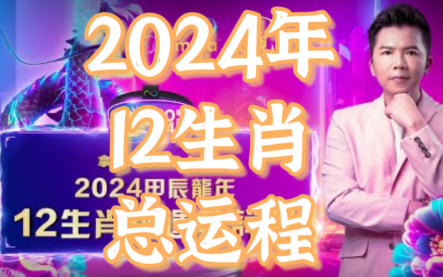 揭秘2024年一肖一码，探寻背后的真相与预测逻辑