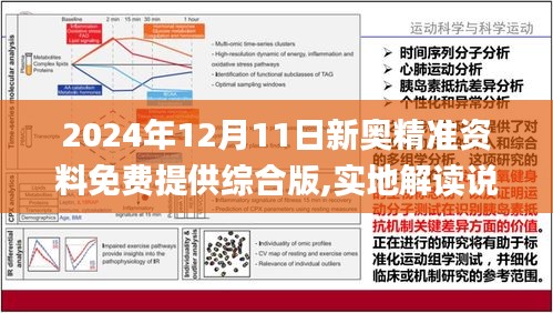 2024年12月18日 第30页