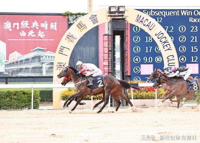 澳门今晚赛马预测及分析