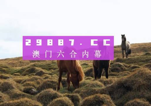 澳门马今晚开奖记录——历史与未来的交汇点