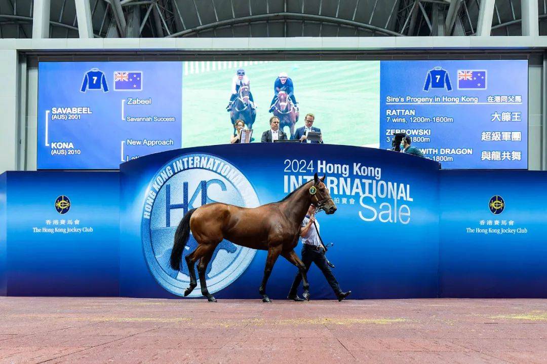 探索香港马会彩票，2024年香港今期开奖号码展望