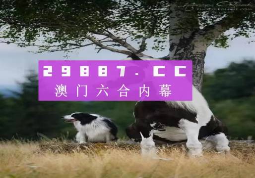 探索新版跑狗，77777与88888的魅力交织