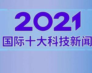 十条最新新闻报道及分析