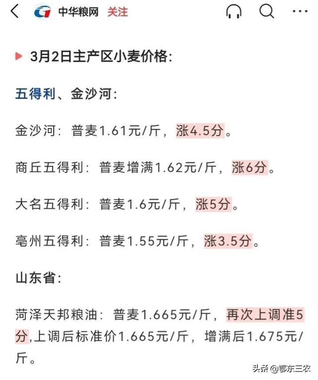 连云港小麦最新价格动态分析