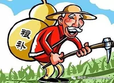 最新2017年粮食补贴政策解读与实施影响分析