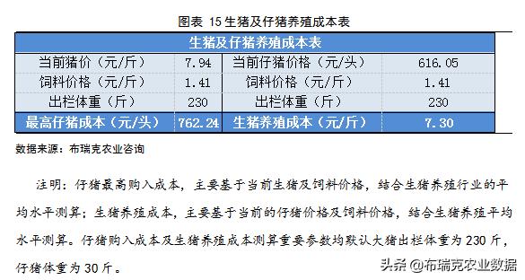 河南西华最新生猪价格动态分析