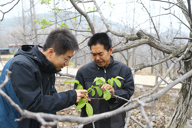 锯山村最新新闻报道