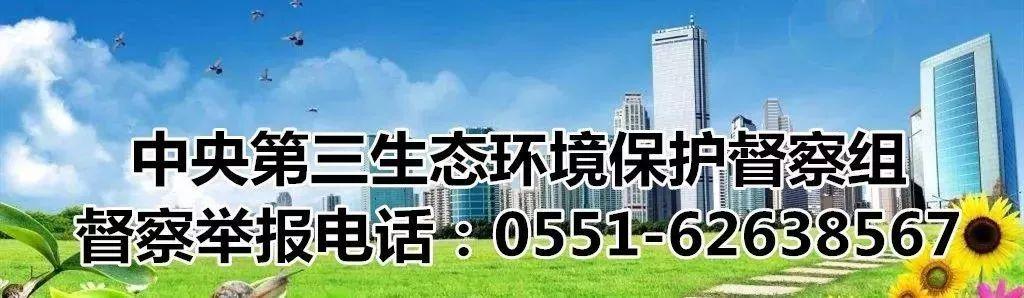 安徽无为最新招聘信息概览